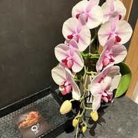 まるや本店 銀座グラッセ - 