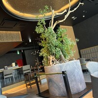 まるや本店 銀座グラッセ - 