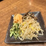 焼肉 静龍苑 - ナムル