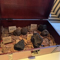 Terres de Truffes, Tokyo - 