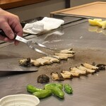 モンダルジャン - 