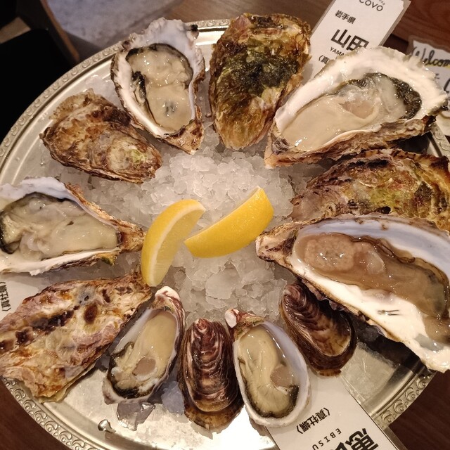 Oyster Bar COVO