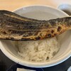 さばめしの鯖匠
