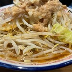 ラーメン☆ビリー PLUS - 『ラーメン(アブラあり・ヤサイ多め・ニンニク多め)』のヤサイ