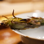 炎水 - みずみずしく歯切れするとふわっと引き立つ香ばしさ。溢れるミネラルに煌めく塩気が無性に美味い！