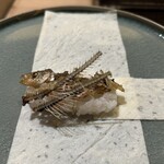 明寂 - 新解釈　もろこ寿司