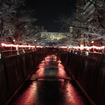 炎水 - 昔から好きな場所からの眺め。
      実は昨年の桜の時期の前に全体的に枝を伐採されてしまった影響で、過去よりも桜のトンネルは控えめとなってしまいました。それでも今も変わらない光景。