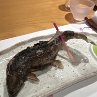 柳家錦 - 