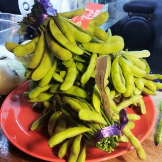 アキナイ酒場ますます。_0