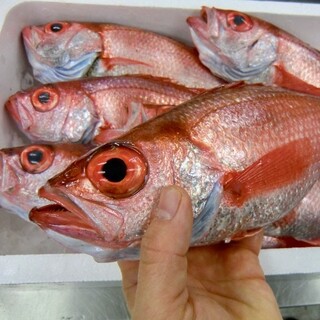 島根県浜田漁港直送！鮮度にこだわり厳選したのどぐろ