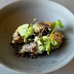 プレゼンテ スギ - 山鳥茸のフリット