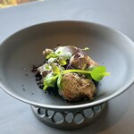 プレゼンテ スギ - 森の地面