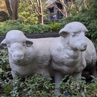 キャトルラパン - 羊さんに見守られて