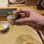 北陸の鮨 飛泉 - 