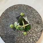 292034536 - 