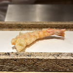 日本橋 蕎ノ字 - 