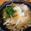 浜心うどん