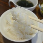 キッチン ブルー グローブ - ご飯が進む