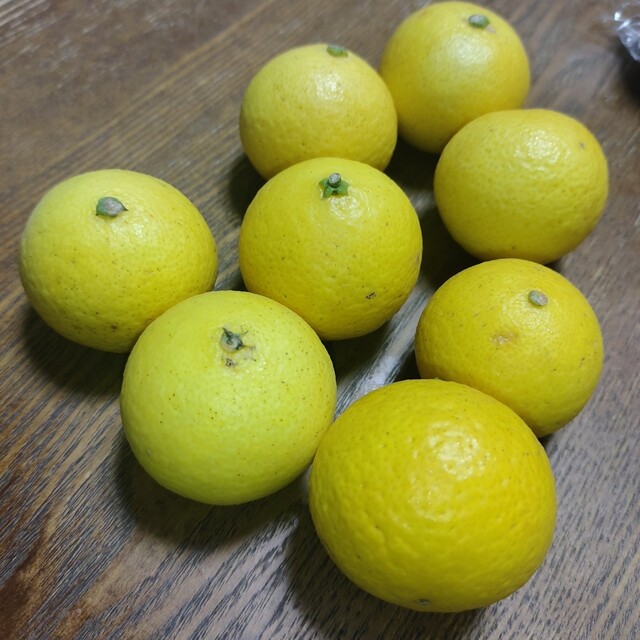 ととこページ 漁港の駅 トトコ小田原 （漁港の駅 TOTOCO小田原） - 早川/その他