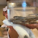 旬彩天 つちや - 