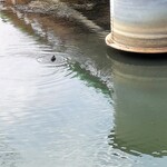 味覚の宿 双葉荘 - 