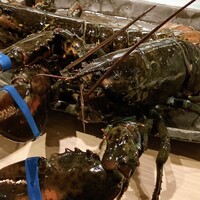 京風鉄板 はせ川 - 