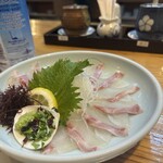 魚将　さかなちゃん - 