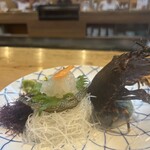 魚将　さかなちゃん - 