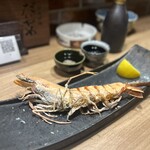 備長炉端 だいやめ 天満店 - 