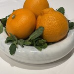 JINBO MINAMI AOYAMA - 