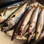 二代目 やっこ - 関サバ、関アジ、カマス。