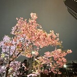 パーラー矢澤 - 