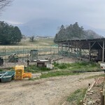 フライベッカーサヤ - 