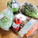 Aコープホウナン - 料理写真:キャベツ、レタス、サニーレタス、にんじん、スイートパプリカ、キウイ、上天ぷら