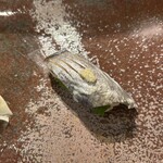 寿司栄 - ぼうぜ　　エボダイとも言う