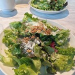 Source72 - 本日のサラダ