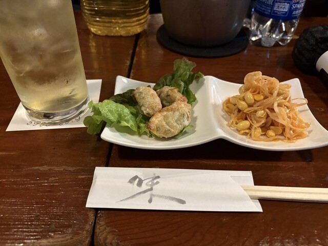 Ambassador Hoshino photo 3