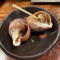 江戸心 山ぼうし - 
