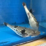 ふくの家たなか - 