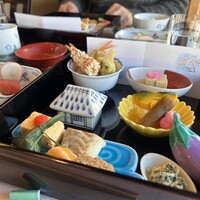 山茶花 - 