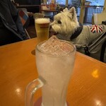 Teppan Dining 博多やきもん - 