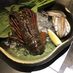 atelier 森本 XEX 鉄板 - 