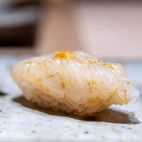 鮨 在 - 2025.3 鹿児島産アオリイカ