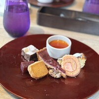 スミレオオサカ - 