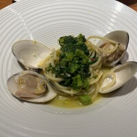 MOTORA  - 