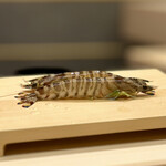 THE SUSHI NAGOYA 海 KAI - 