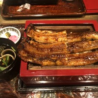 にょろ助 銀座 - 