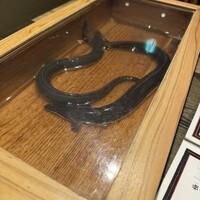 にょろ助 銀座 - 