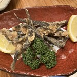 はりまや - どじょう