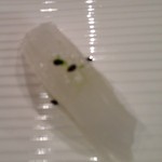 鮨匠 のむら - アオリイカ